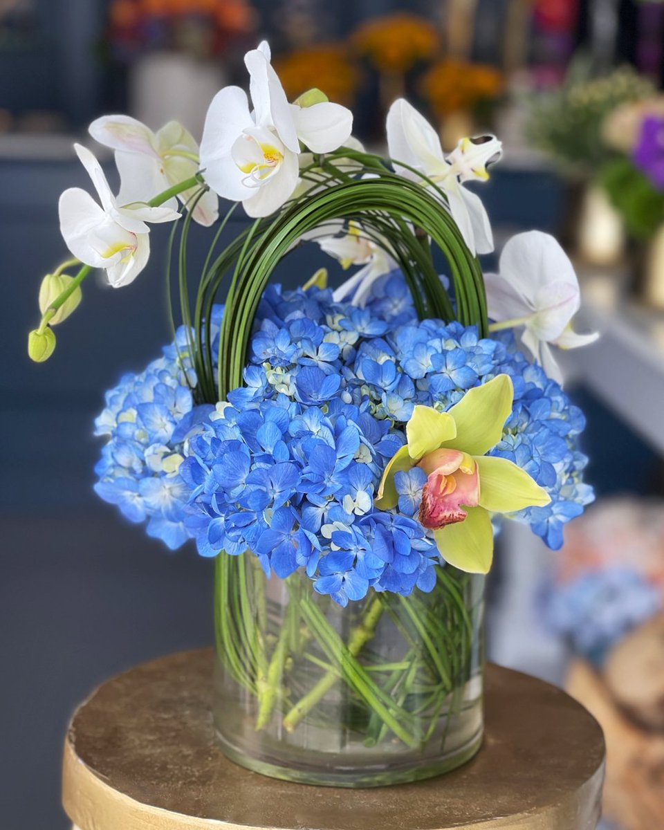 Chase Away the Monday Blues with a Splash of Serene Beauty! 💙🌿💐 Shop online or give us a call today! #SouthFlorals #HappinessInBloom