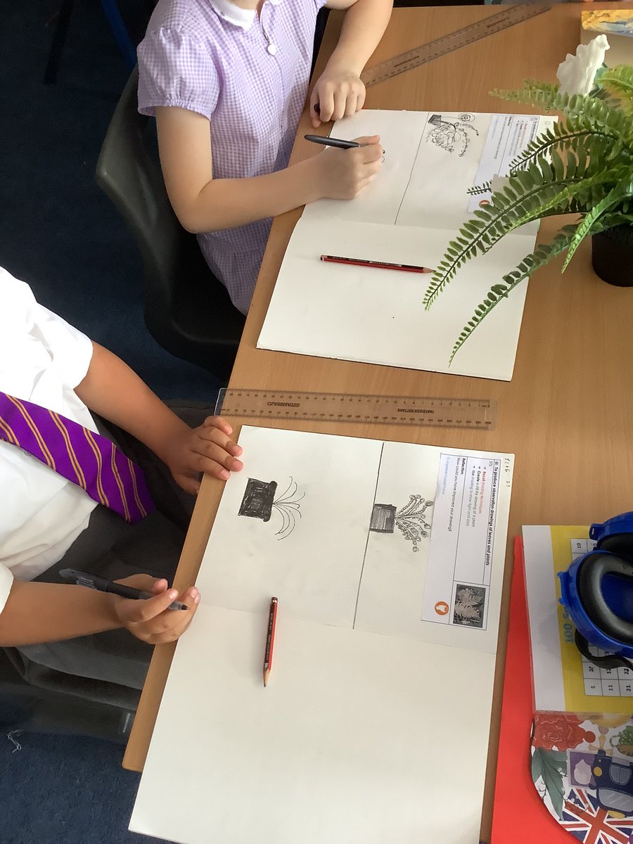 We have been creating observational drawings of plants in art today, we used black liner pens and pencils to create our drawings✍️