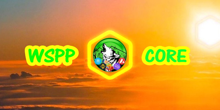 0xAntasena's tweet image. BREAKING ‼️
$WSPP x $CORE will launch

#WSPP (@RoboWolf8) x #CoreDAO (@Coredao_Org)

#DYOR
