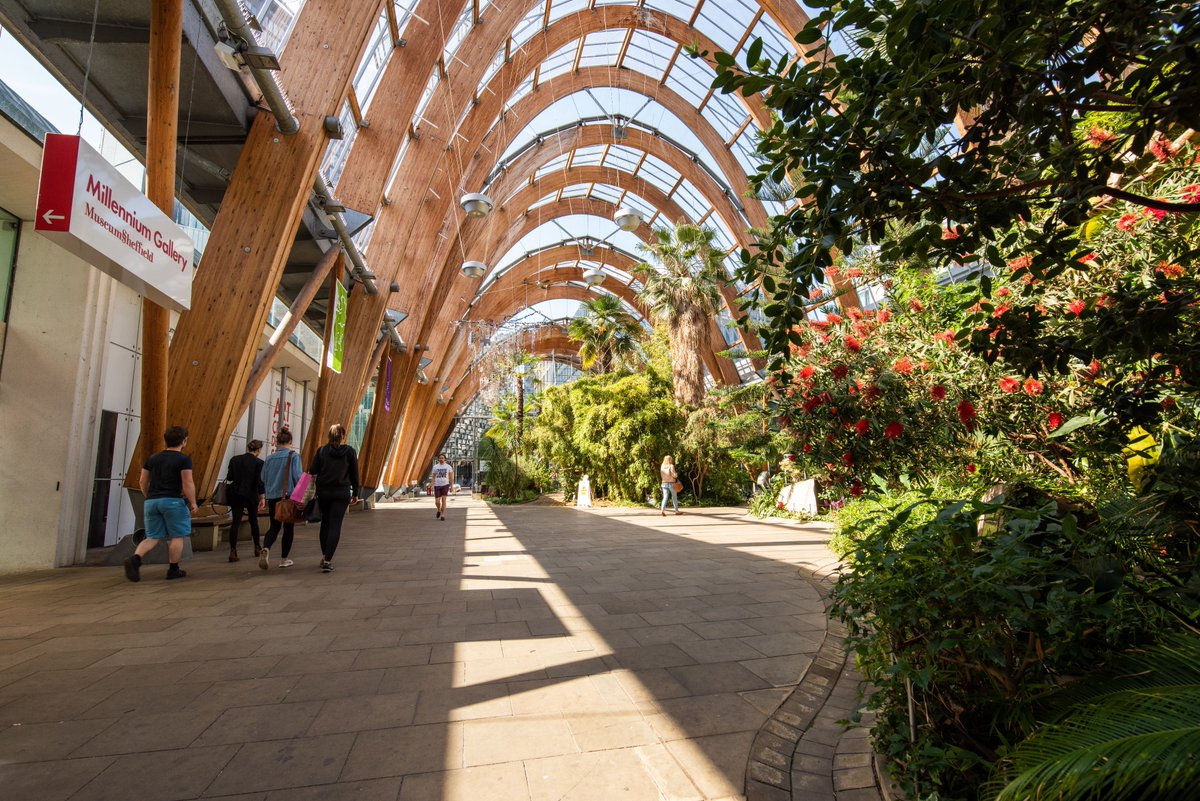 Help us Help Sheffield (@helpushelpsheff) on Twitter photo 📣 City centre businesses! Want to learn about the organisations working to resolve begging?
👉 Drop-in with <a href="/SheffCouncil/">Sheffield City Council</a> & partners:
📍 Winter Gardens, 6 July, 3pm to 7pm
🗣️ Chat with our teams, and pick up our new guide on ASB-related begging.
#Sheffield <a href="/HelpSheffield/">Help Sheffield</a> 📣 City centre businesses! Want to learn about the organisations working to resolve begging?
👉 Drop-in with <a href="/SheffCouncil/">Sheffield City Council</a> & partners:
📍 Winter Gardens, 6 July, 3pm to 7pm
🗣️ Chat with our teams, and pick up our new guide on ASB-related begging.
#Sheffield <a href="/HelpSheffield/">Help Sheffield</a>