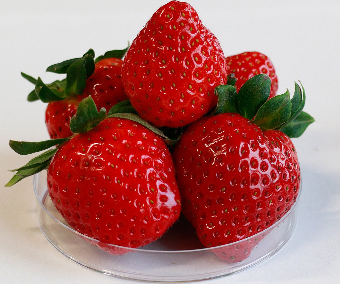 IAEANA's tweet photo. You work on 
🍓food safety, security, authenticity, fraud
🍓emergencies &amp; incidents affecting food supply
🍓standard setting &amp; risk assessment
🍓#OneHealth

📢Present at @IAEAorg + @FAO International Symposium on Food Safety and Control, #Atoms4Food:
https://t.co/gSGEx8LW6T https://t.co/kOqObsjmXa