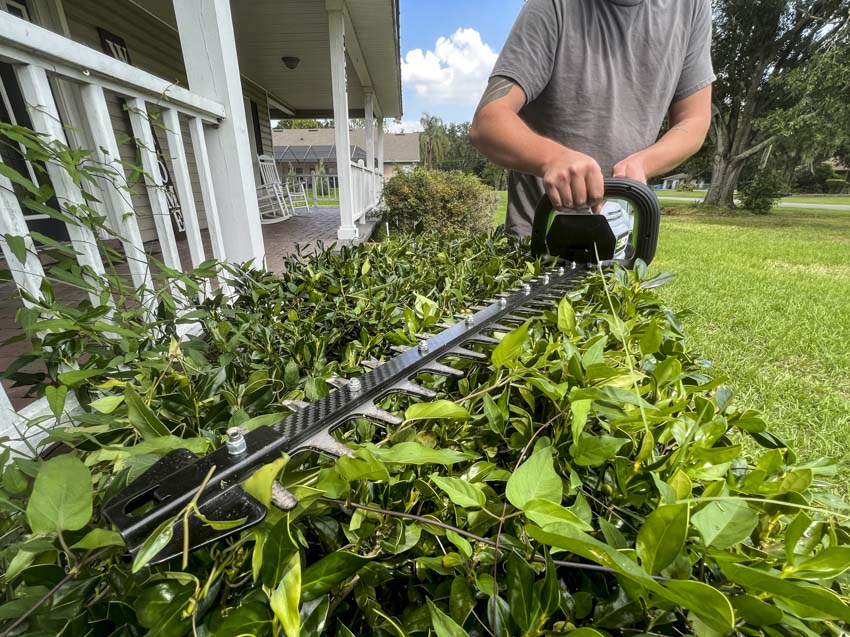 ProToolReviews's tweet photo. Check our review of the new @EGOPowerPlus Carbon Fiber Hedge Trimmer!
➡️https://t.co/1TW8ljOHuT
#egopowerplus #ptrego23 https://t.co/LYFBmla3f6