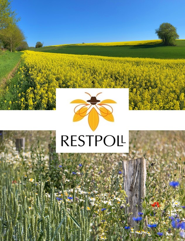 Alexandra-Maria Klein (@naturealexk) on Twitter photo Would you like to join our group <a href="/UniFreiburg/">Universität Freiburg</a>? We are hiring a postdoc, a PhD student & a project coordinator for our EU project #RestPoll - Restoring Pollinator habitats across European agricultural landscapes based on multi-actor participatory approaches
nature.uni-freiburg.de/Open%20Pos/Ope… Would you like to join our group <a href="/UniFreiburg/">Universität Freiburg</a>? We are hiring a postdoc, a PhD student & a project coordinator for our EU project #RestPoll - Restoring Pollinator habitats across European agricultural landscapes based on multi-actor participatory approaches
nature.uni-freiburg.de/Open%20Pos/Ope…