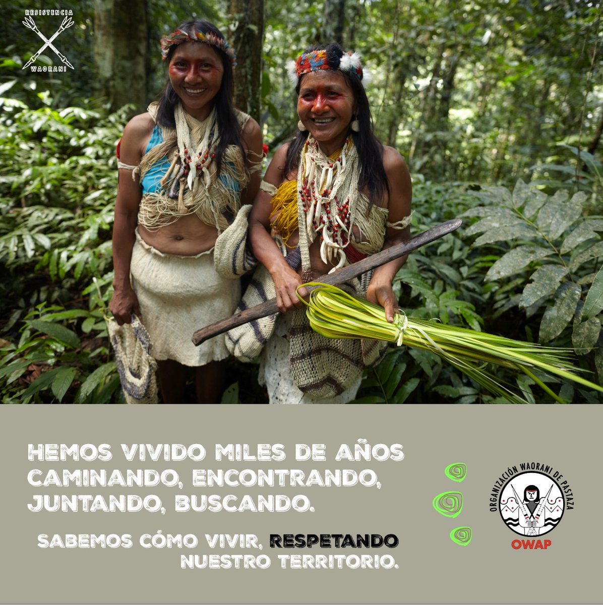 WaoResistencia's tweet photo. Amonipa waadete kekinani ¡wiwa kedamai!.
#owap
#waoresistencia https://t.co/zdFXi92WPA