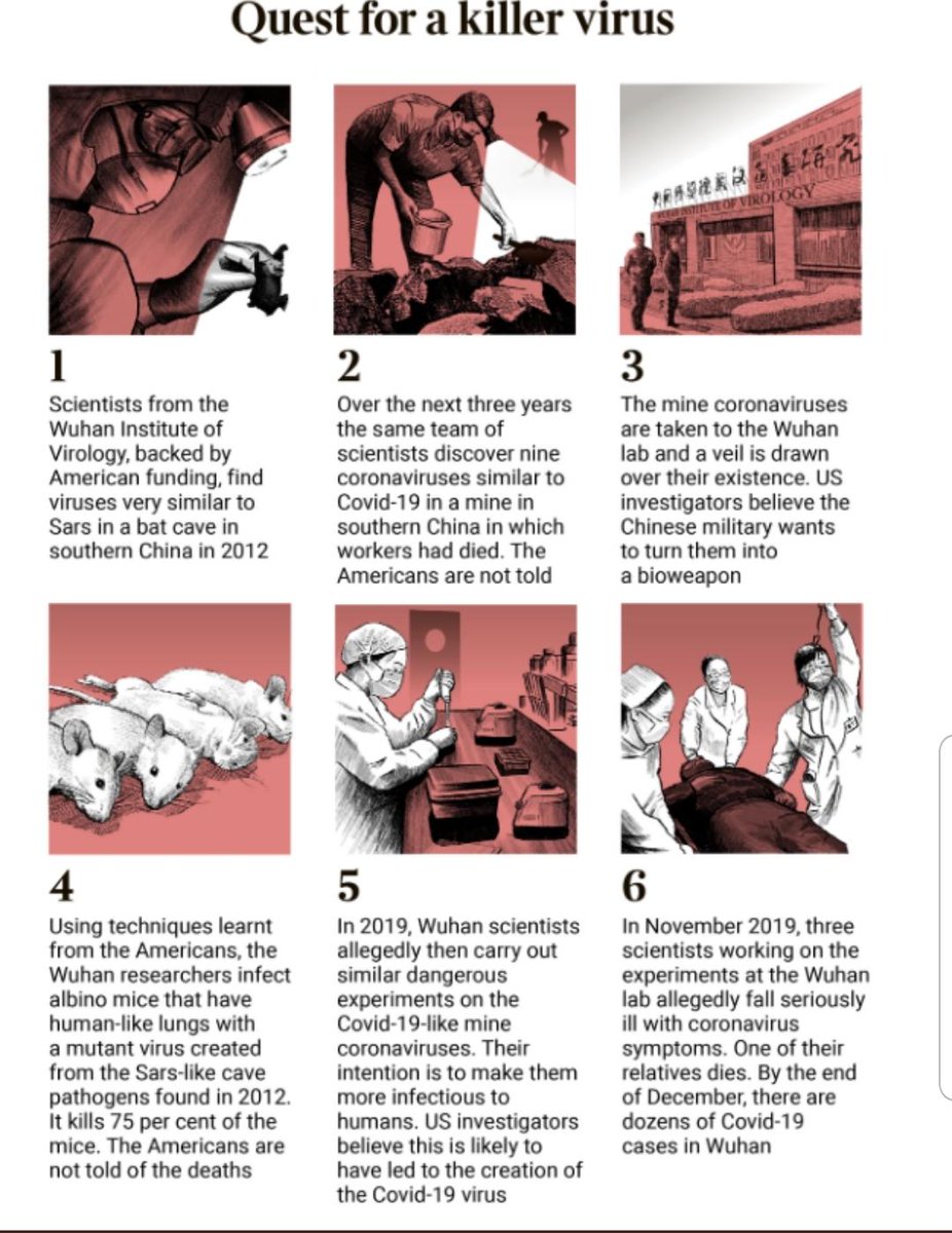 From the 'Sunday Times' of London. Behind a paywall but this graphic gives the gist of it; What happened at The #Wuhan Institute of Virology just before the #SARSCoV2 #COVID19 'lab leak'. This may be the 'sanitized' version from WHO & the CCP (diff?), but it's still frightening.