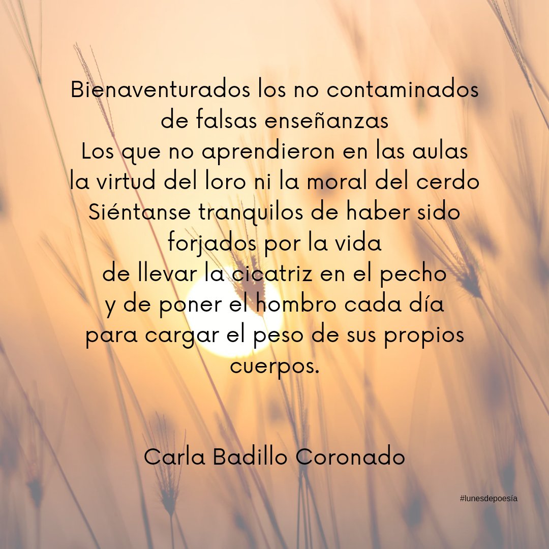 znbustos's tweet photo. Lunes de poesía con Carla Badillo Coronado

#lunesdepoesía #carlabadillocoronado #poetaecuatoriana #escritoraslatinoamericanas #poesía #poetry https://t.co/zi2asel2zq