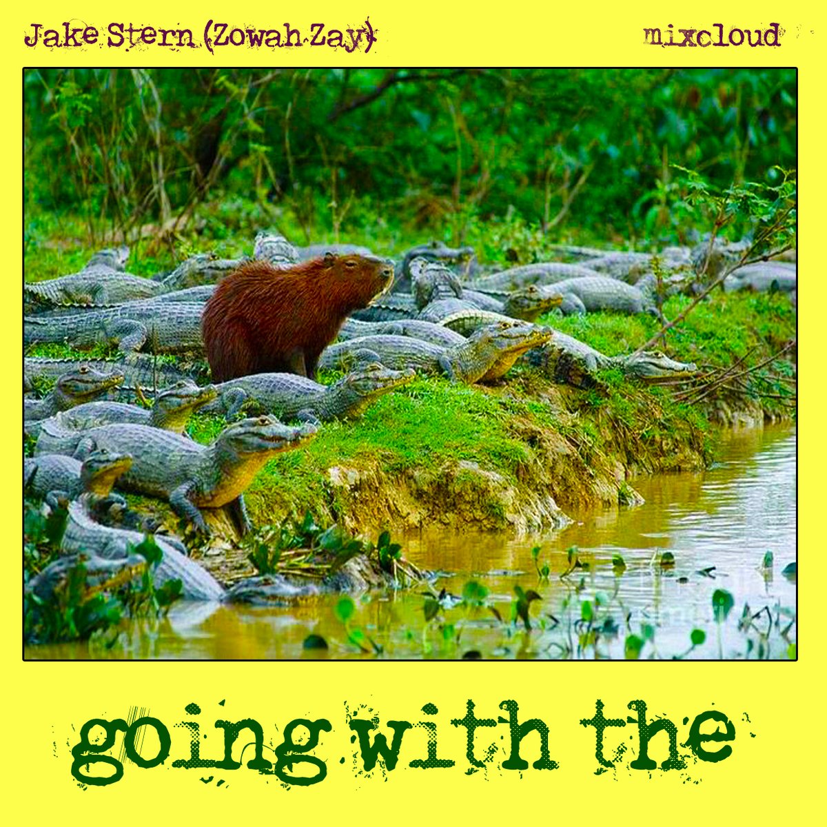 Jake Stern Zowah Zay tweet media