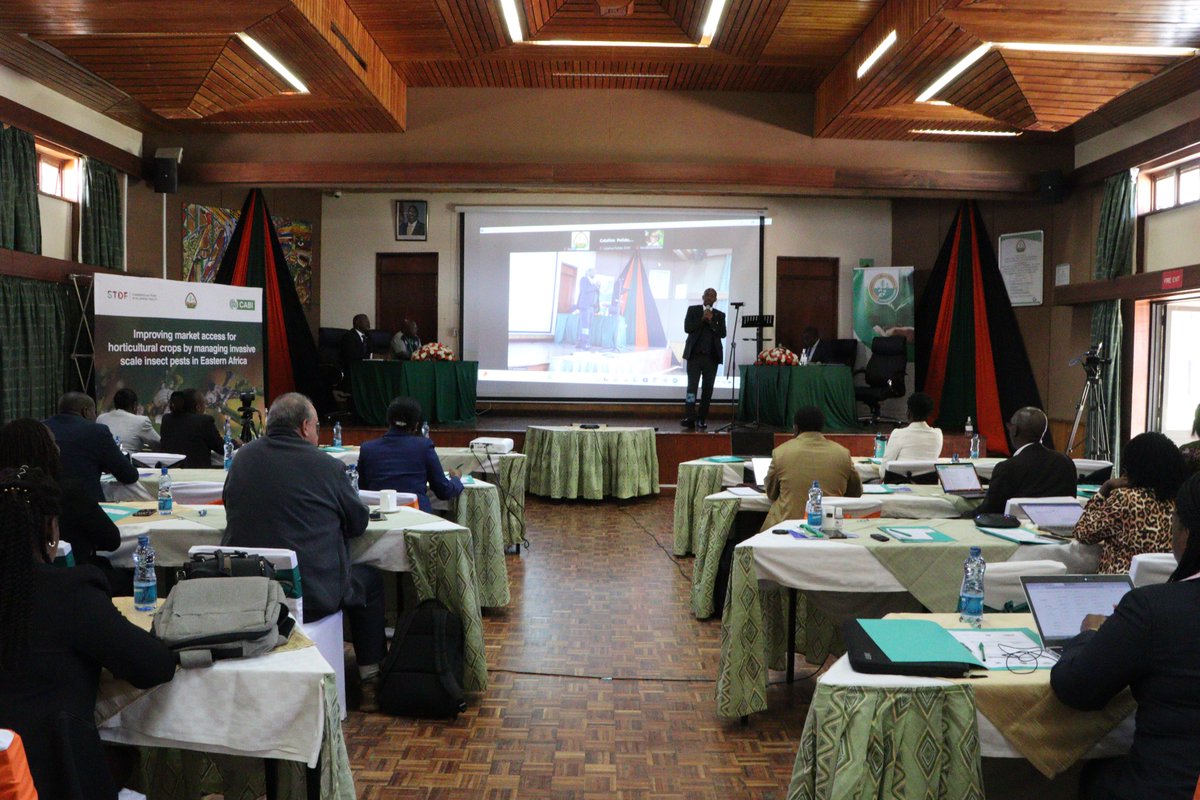 Fresh Produce Exporters Association of Kenya tweet media