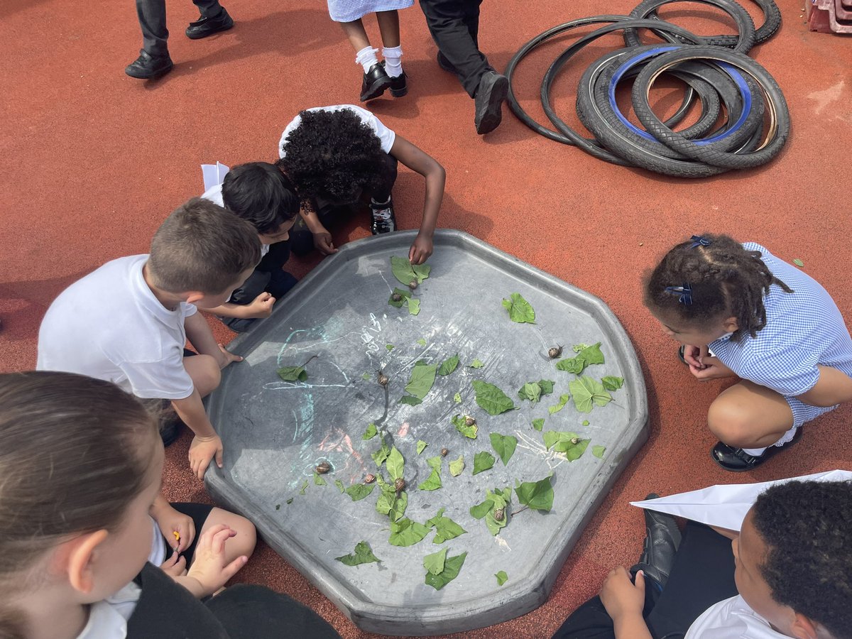 Foxfield EYFS Chestnut tweet media