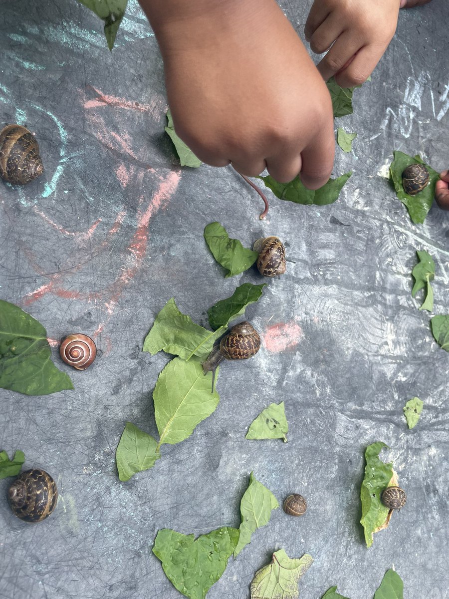 Foxfield EYFS Chestnut tweet media