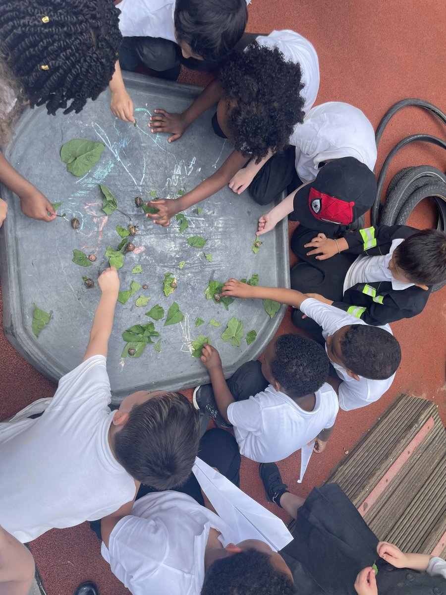 Foxfield EYFS Chestnut tweet media