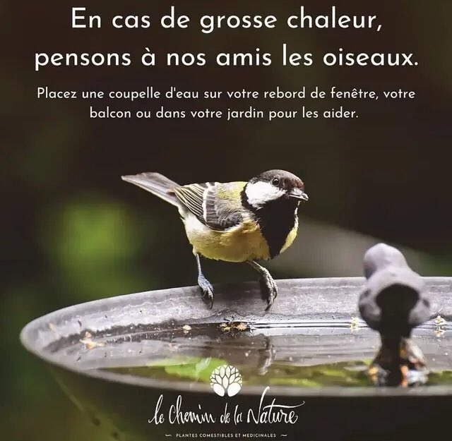 FybNZPdWwAAPRnm?format=jpg&name=small