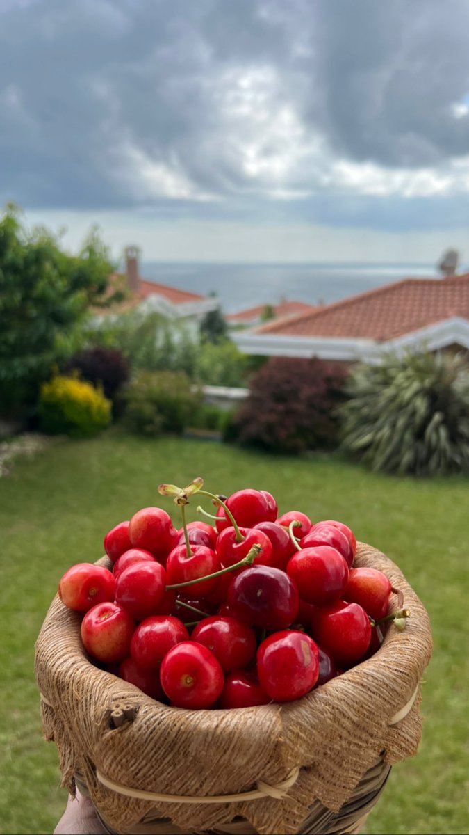 Bahçemden 🍒