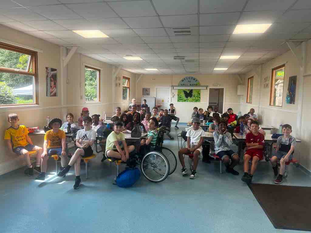 Alder Tree Primary tweet media