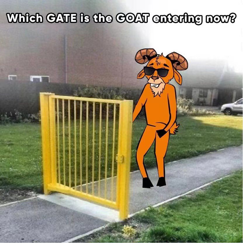 币圈荒木｜Araki🪵 tweet media