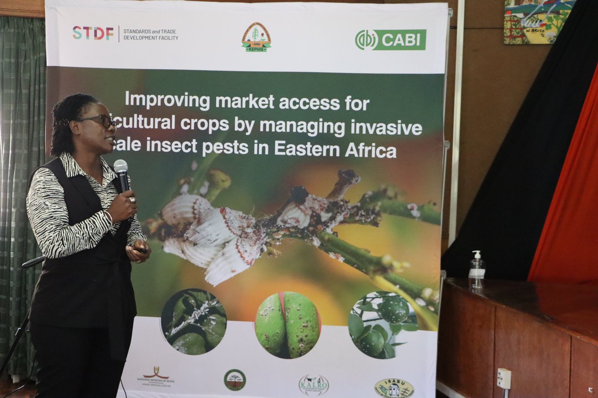 Fresh Produce Exporters Association of Kenya tweet media