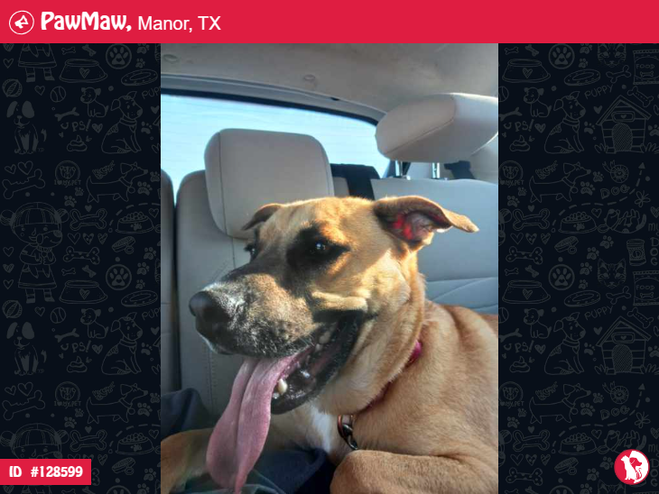 PawMaw On Twitter SADIE LOST DOG IN MANOR TX 78653 More Details pawmaw-on-twitter-sadie-lost-dog-in-manor-tx-78653-more-details