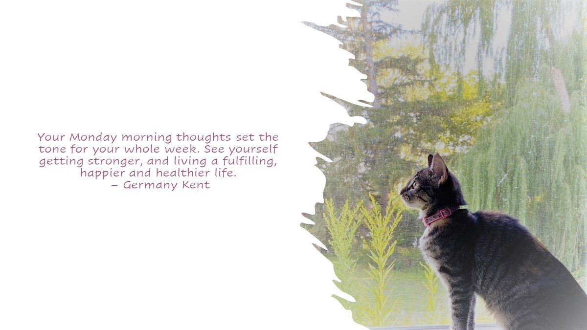 ClearStaffing's tweet image. Don't start the week with the bad thoughts of last week. Come into it with an open mind and a fresh look. #happymonday

#mondaymotivation #GermanyKent