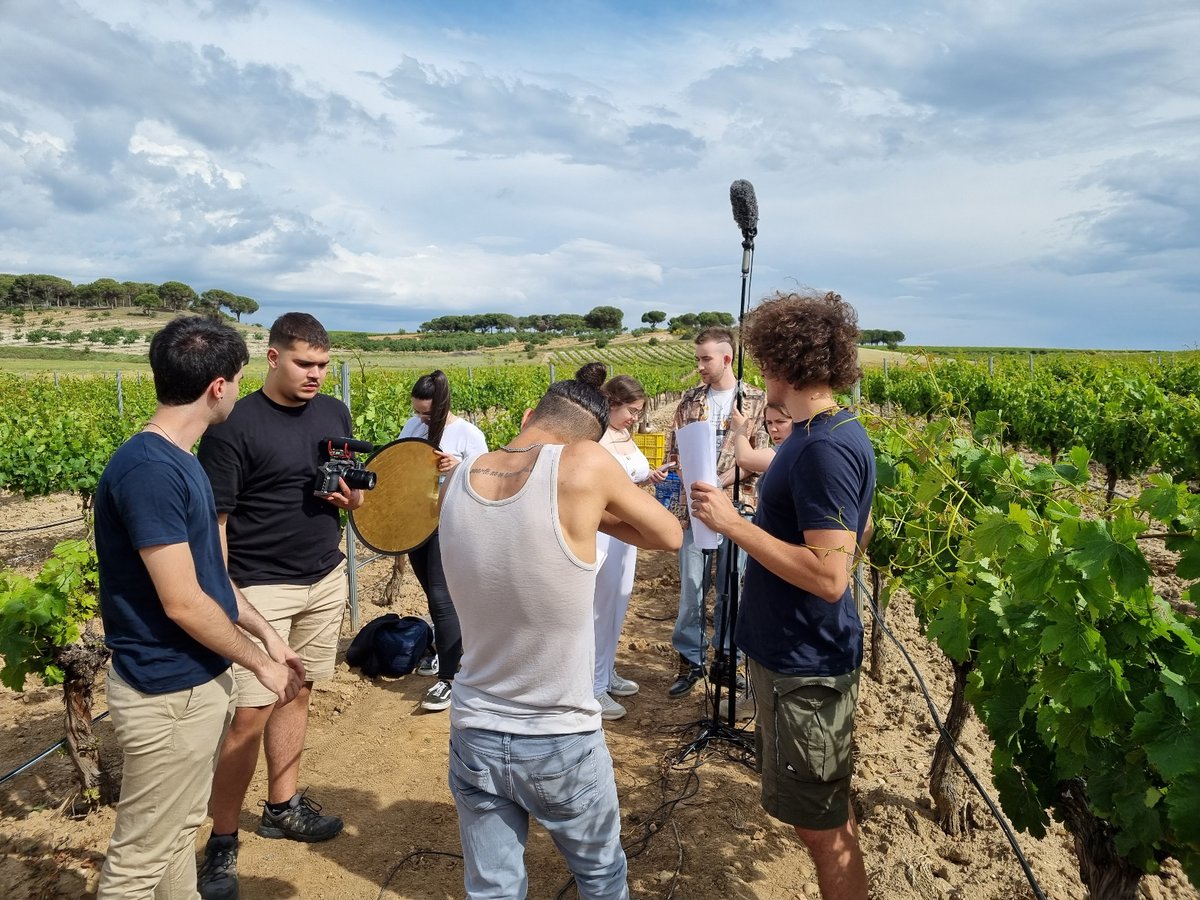 ruedaconrueda tweet media