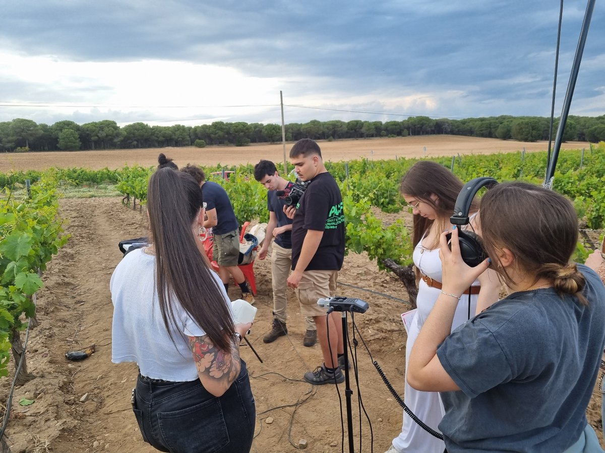 ruedaconrueda tweet media