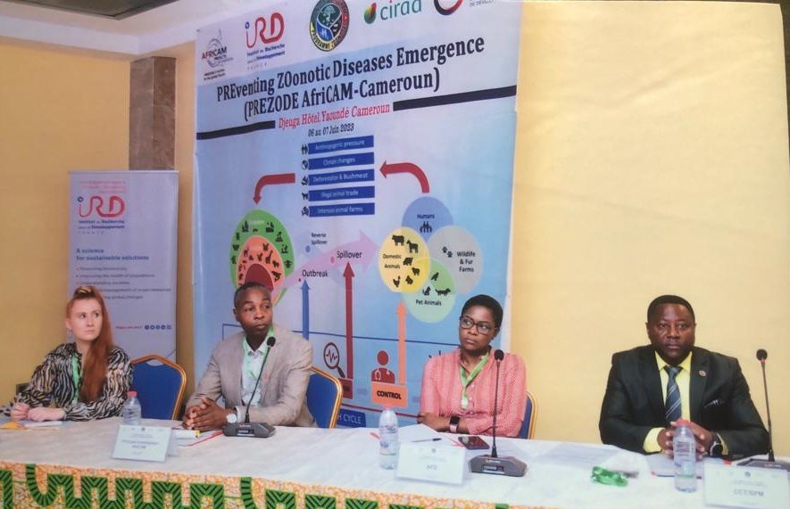 ird_fr's tweet photo. #PREZODE |👉 Le projet #AfriCam au #Cameroun 🇨🇲 a officiellement été lancé à Yaoundé en présence des partenaires camerounais et français. Il a pour ambition de contribuer à la prévention de l’émergence de maladies infectieuses via l’approche #OneHealth.
▶️https://t.co/qRyGtRN7i3 https://t.co/N1zniAzvbU