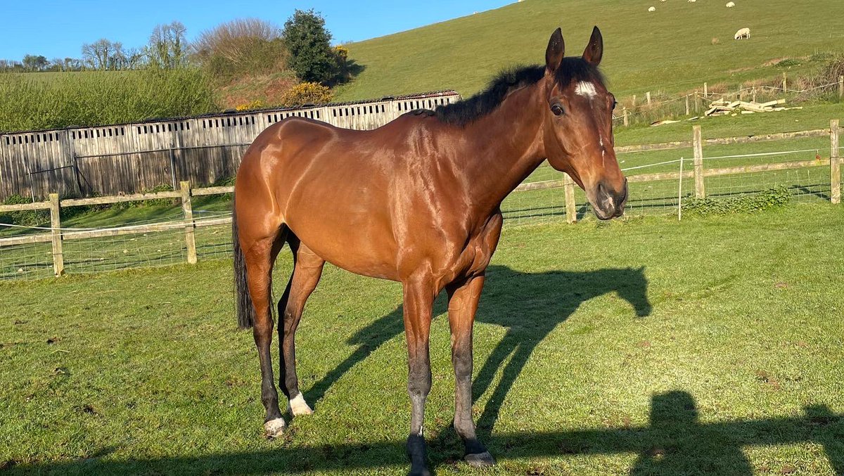 Stuart Payne tweet media