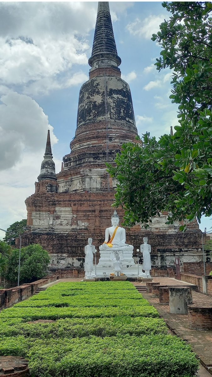 ที่พึ่งสุดท้ายของฝ่ายนักร้อง..
กับจำเลยนายพิธา หัวหน้าพรรค ก้าวไกล ที่พึ่งสุดท้าย.
ดอกไม้,ธูป9ดอก ไปสาบาน..
กันว่าใครผิดใครถูกทีวัดมหาธาตุ จ.พระนครศรีอยุธยา
พระพุทธเก่าแก่ศักดิ์สิทธิมาก.
ให้ฟ้าฝ่าตาย..ก็คงต้องโดน !!