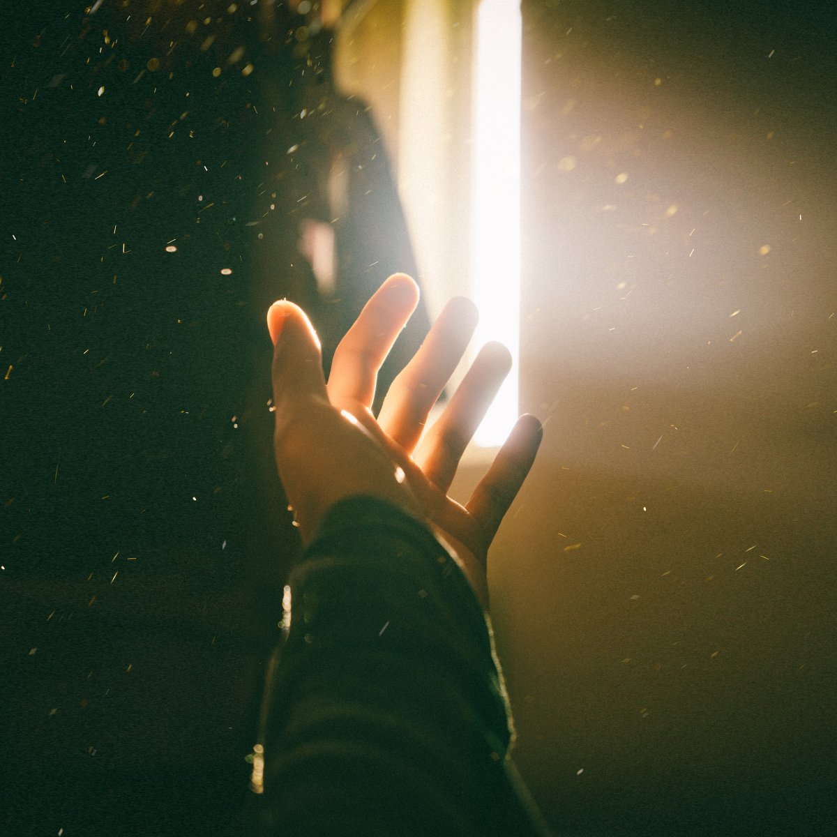 Time_To_Inspire's tweet photo. Have you seen our post on Dialectical Behaviour Therapy (DBT)? 
In the article, we chat about the four modules AND we've included some really helpful DBT resources!
https://t.co/qT1BuV1F0U https://t.co/s5Ij8PmKbl