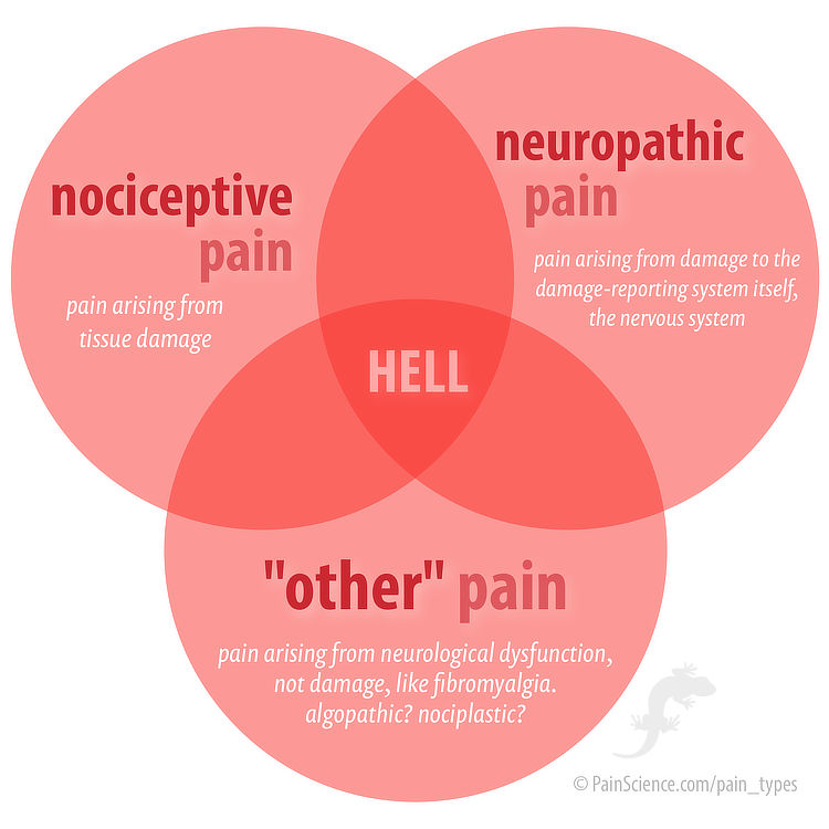 Researchers, Academics, Politicians & Prohibitionists PAIN is a a symptom of disease or injury. There is no distinction between Cancer and Non-Cancer pain. #Truth

#ChronicPain #CHRONICILLNESS patients like myself, are in 'HELL' ⬇️ 

painscience.com/articles/pain-…