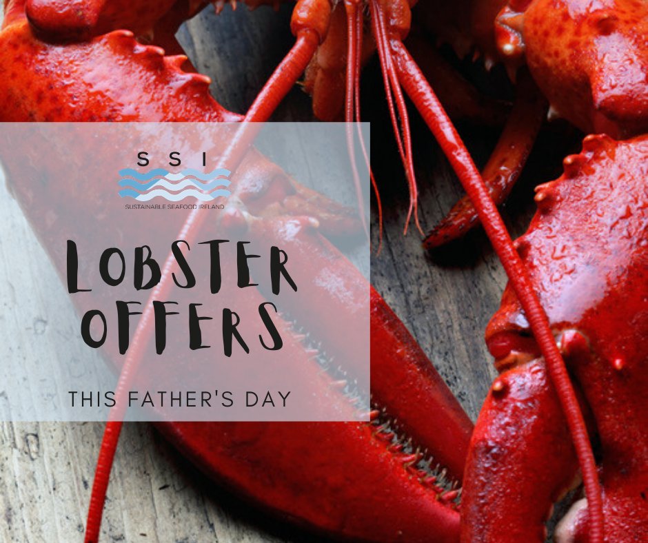 Father's Day Lobster Special - *sustainableseafood.ie/product/father…*