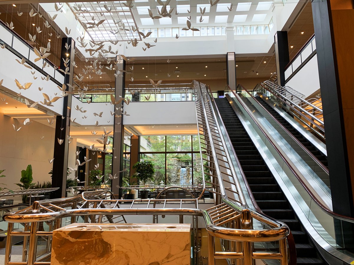 EasternConst's tweet photo. Sheraton Centre T.O. Reno:
Completed in 2022 a vibrant, sophisticated &amp; welcoming space intended for an exceptional guest experiences. 
#JLLCanadaInc
#architectsAlliance
#EasternConstructionCompany
#Entuitive
#HHAngusAssociates
#JohnGCooke
#MBTWGroup
 https://t.co/pZGF11TXwk? https://t.co/DpocW5VhMi
