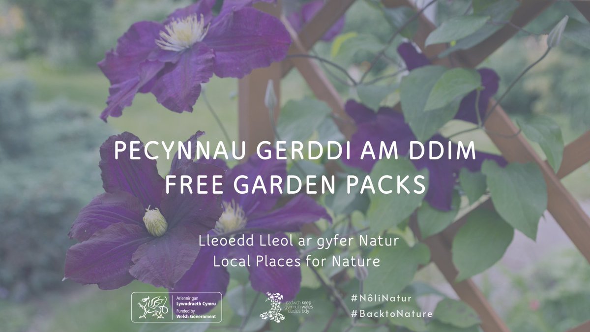 Local Places for Nature is back!

Transform your community with a free garden package. Apply now! 💚🌼🦔🐝🐞 🌿🌳🐦🌻
 
#BackToNature 

👉 bit.ly/3rzN08K