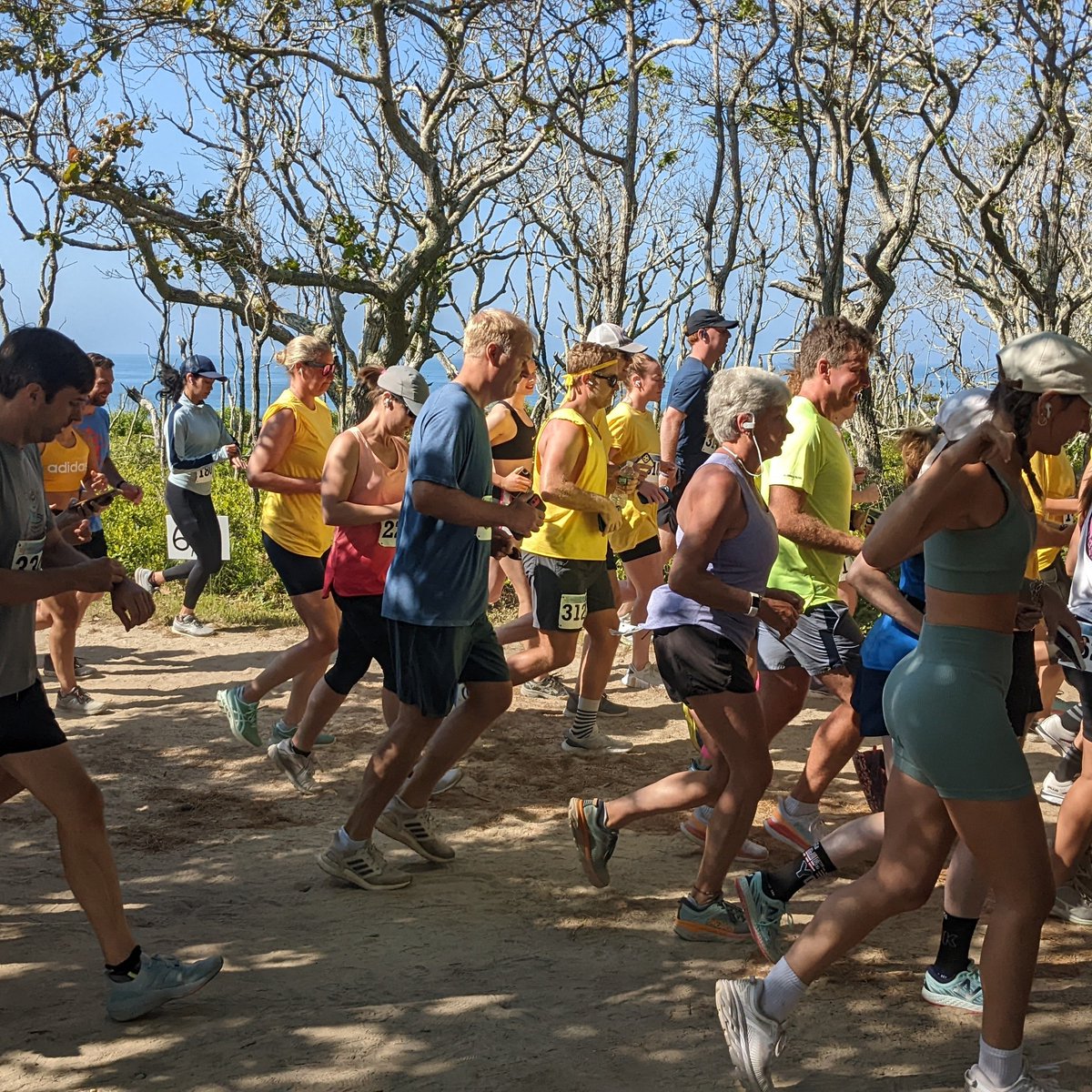 TheTrusteesMV's tweet image. Join us for the 5th Annual Chappy Point to Point Race on June 25! Register at runsignup.com/Race/MA/Edgart…