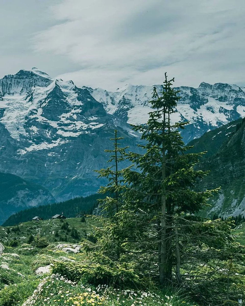 Do you often go hiking? 🥾 

@murren007 | @madeinbern | @MySwitzerland_e 

#jungfrauregion #DiniWält #muerren #InLOVEwithSWITZERLAND #spring #mountains #hiking

Photo 📷 instagram.com/rene.pfluger/