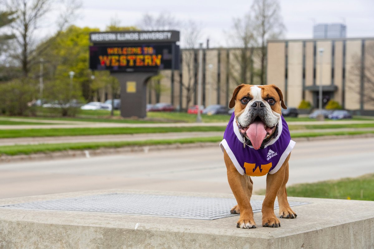 Already have your AA/AS from a US regionally accredited college? Transfer to WIU with all your University General Education requirements met. Attend Transfer Focus Friday at our Macomb campus on June 23 to learn more. wiu.edu/visit  #wiu #transfer