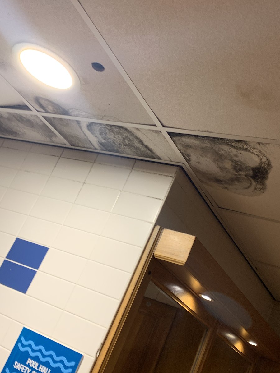 1975Williamson's tweet photo. @DuncanBannatyne @Bannatyne just wondering if you're going to be removing the word "health" from Bannatyne Health Club Grove Park. 

The state of the ceiling in the gents changing rooms and the rank smell of the toilets is absolutely foul https://t.co/qinNJOqZcT