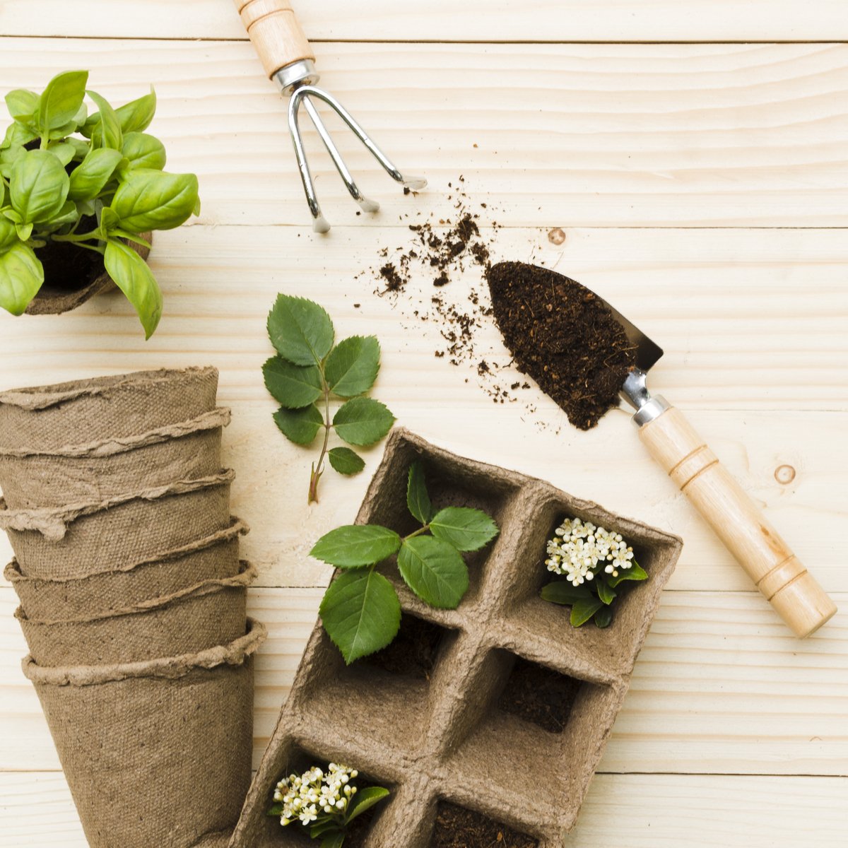 Ready to get planting? Join us on Tuesday 13th June, 12:00pm at the Students' Union for FREE #GIAG Gardening. Come along &amp; help with some gardening, plant some seeds &amp; have a chat 🪴

Find out more and book now: bit.ly/3NdfTlF
