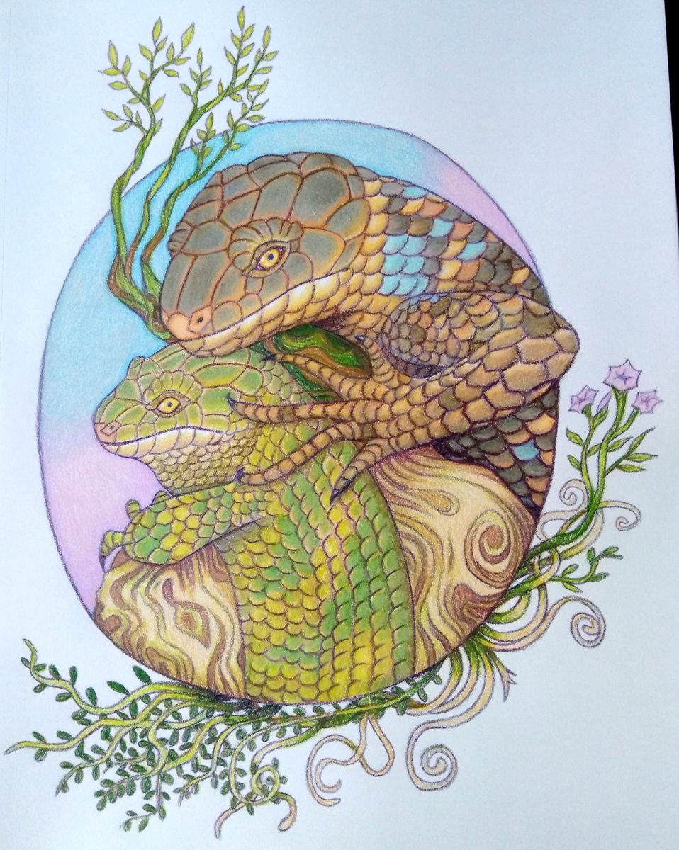 Finally done. Made the mother more green to match baby. #monkeytailedskink #solomonislandskink #skinks #lizardlover #reptilelover #petportrait #petart #petartist #colorpencilart #colorpencildrawing