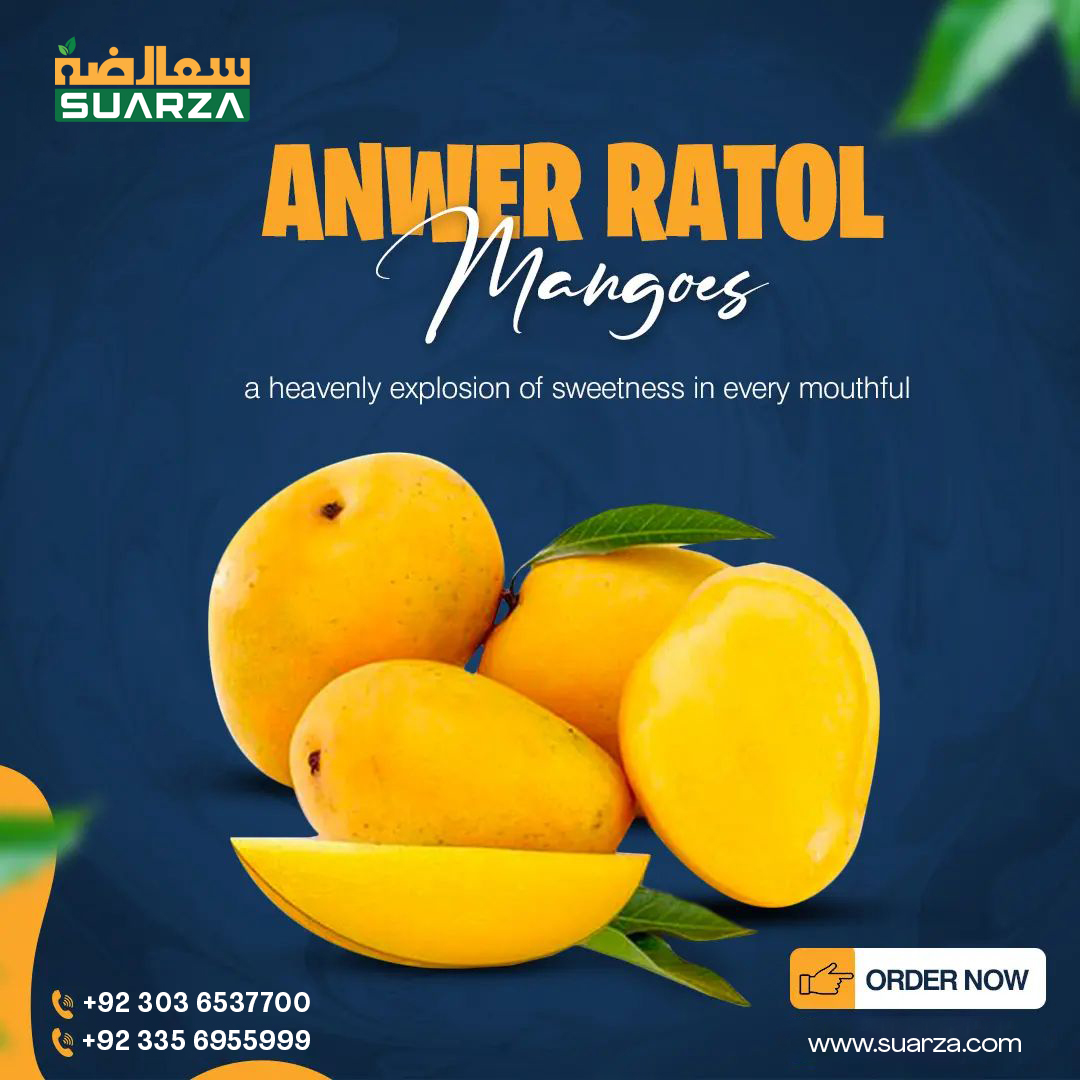 suarzagroup's tweet photo. Smaller the sweeter Most sweetest mango anwer ratol ready to export 

Now available for order
Contact us at +92 303 6537700 / +92 335 6955999

#Suarza #best #sweetness #mangoonline #mangoseason #mangolover https://t.co/WuRmuFtMQY