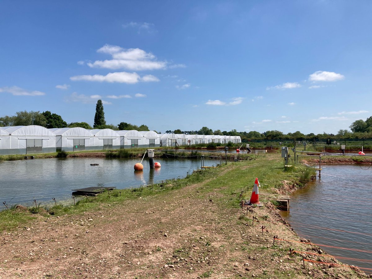 We recently visited the team at Calverton @FishFarmEA to understand what it takes to produce high quality, healthy #fish to benefit #rivers and #fisheries nationwide. It was a fantastic tour to see and understand each stage of their fish production facility. #TeamEA