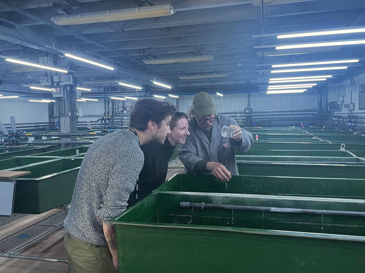 Fish Health, Ageing and Non-Native Species tweet media