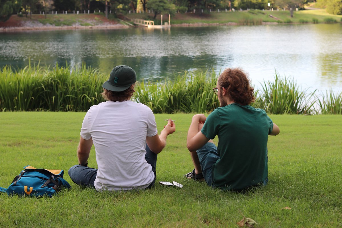 TreesTPC's tweet image. Sharing is caring. #smokeatreeplantatree