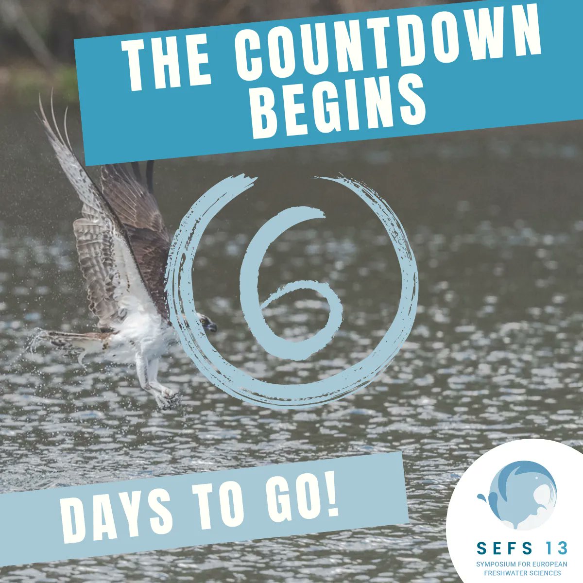freshwaterbio's tweet photo. The countdown to #SEFS13 has started with only 6 days to go!! We are looking forward to kicking off on Sunday 18th June at 6pm with our Welcome Reception and invited speaker Tony Juniper, Chair of Natural England.
#SeeYouAtSEFS #Freshwater #Science #InvitedSpeaker #6DaysToGo https://t.co/V6yTgCKe8D