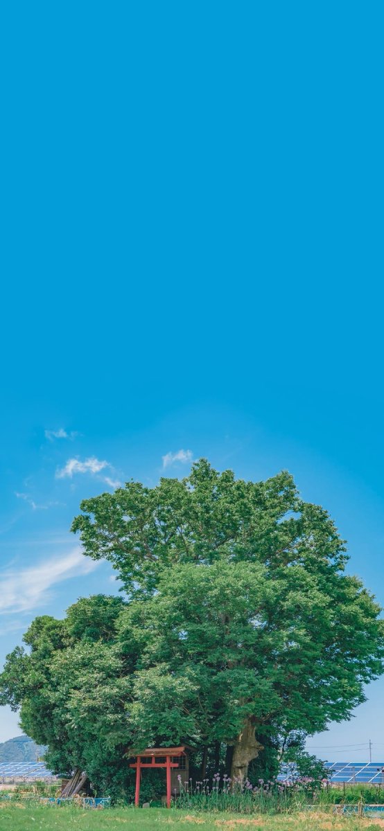 To go with the tide, not to go with the flow.