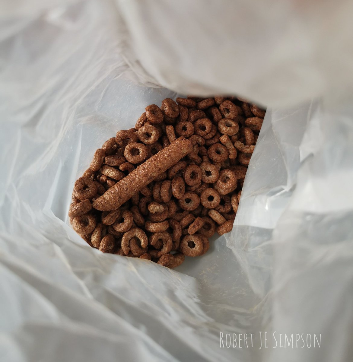 avalard's tweet photo. Hey @weetabix, I think we might have found the biggest #Weeto in our cereal box...
Less Weet-o, more Weet-stick.
Is there a prize?! 😜 https://t.co/yC0lLE9R42