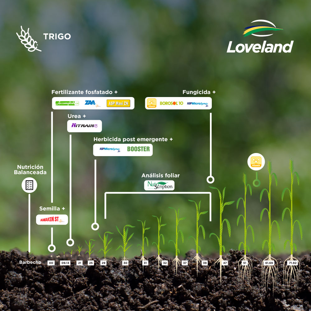 NutrienDigital's tweet photo. 🌽 Tenemos un producto ideal para cada etapa de tu cultivo 🌱.
📲 Contactá a nuestros consultores técnicos para que podamos asesorarte y superar resultados juntos 📈.
#NutrienAr #Loveland #LovelandProducts #AwakenST #Accomplish #Zaa #Nitrain #NutriScription #Borosol #MaxiZN https://t.co/sr1qPUHpVz