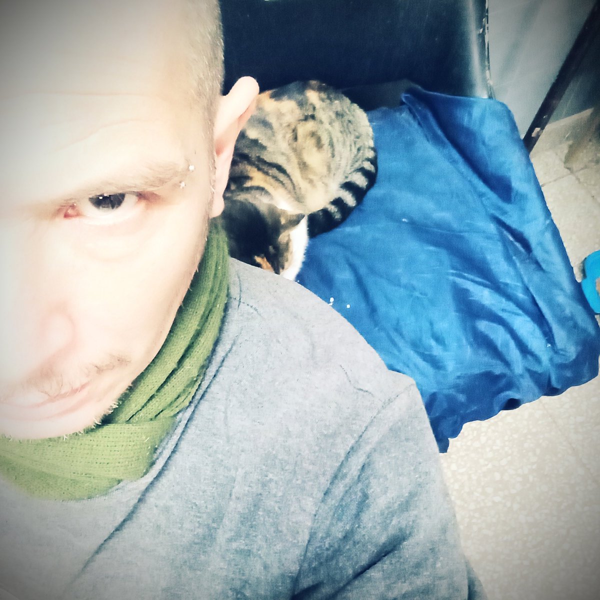 MudoMr's tweet photo. Trabajando con #Michis https://t.co/yXP7JBY2Tc