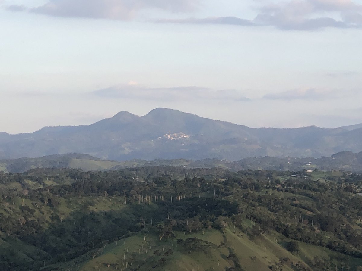 Wilson Marte Estevez tweet media