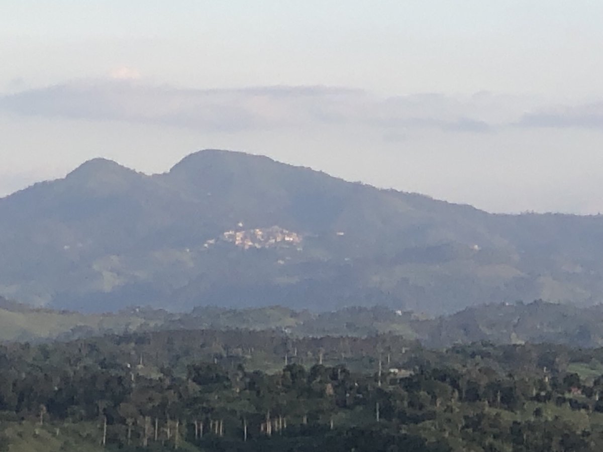 Wilson Marte Estevez tweet media