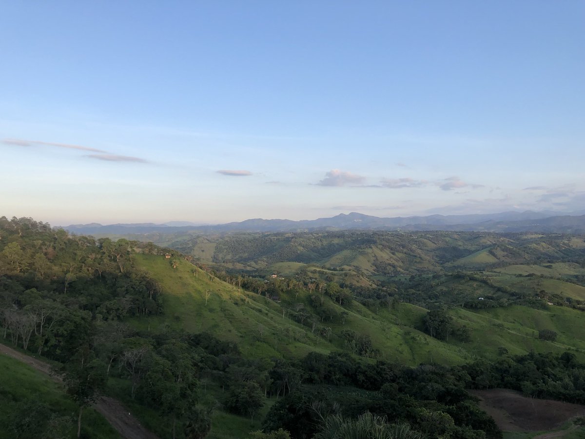 Wilson Marte Estevez tweet media